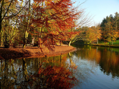 Картинка №22: Осенняя панорама
