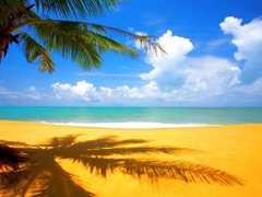 Пазлы онлайн. Картинка №173: Песчаный пляж
. Размер картинки: 640х480
