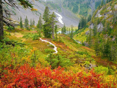 Пазлы онлайн. Картинка №223: Осенняя гора
. Размер картинки: 640х480
