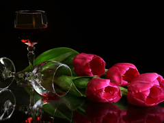 Пазлы онлайн. Картинка №558: Вино и тюльпаны
