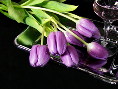 Картинка №600: Тюльпаны на подносе
