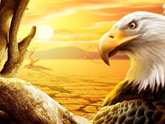 Пазлы онлайн. Картинка №679: Пустынный орел
