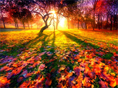 Пазлы онлайн. Картинка №850: Красивая осень
. Размер картинки: 640х480
